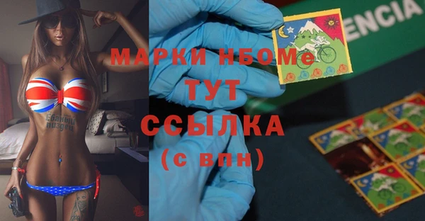 индика Бородино