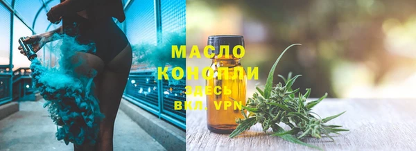 индика Бородино