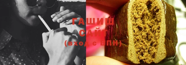 индика Бородино