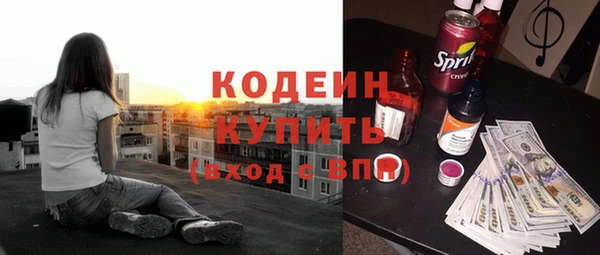 индика Бородино
