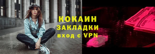 индика Бородино