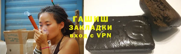 индика Бородино