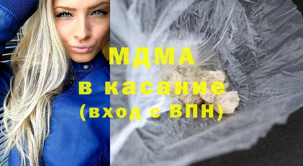 индика Бородино