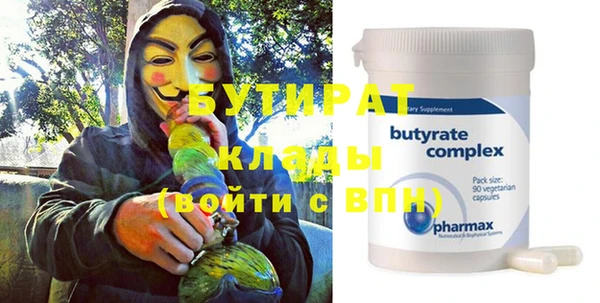 индика Бородино