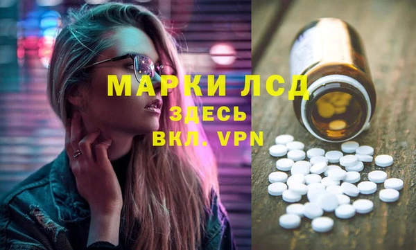 индика Бородино
