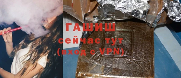 индика Бородино