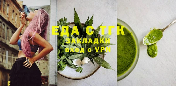 индика Бородино