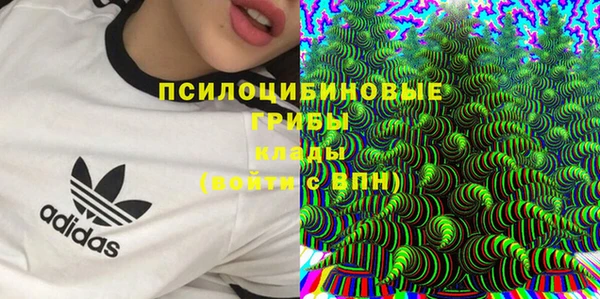 mdpv Бронницы