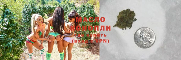 индика Бородино