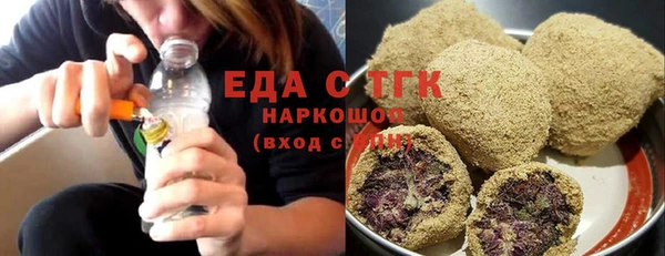 индика Бородино