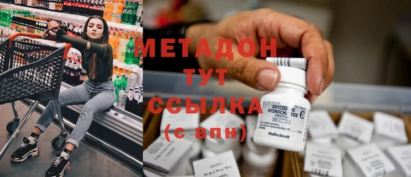 индика Бородино