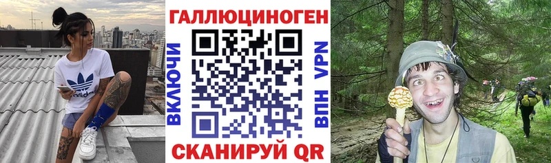 Псилоцибиновые грибы Cubensis  Нариманов 